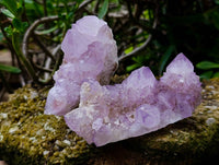 Natural Spirit Quartz Amethyst Clusters x 6 From Boekenhouthoek, South Africa