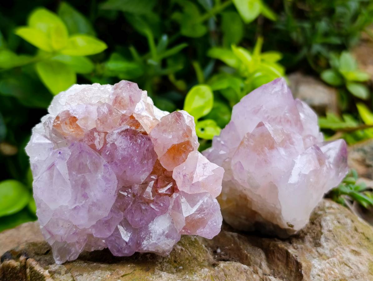 Natural Spirit Quartz Amethyst Clusters x 6 From Boekenhouthoek, South Africa - Toprock Gemstones and Minerals 