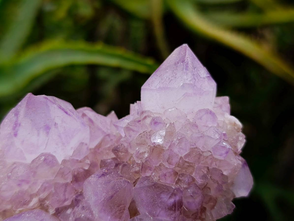 Natural Spirit Quartz Amethyst Clusters x 6 From Boekenhouthoek, South Africa - Toprock Gemstones and Minerals 