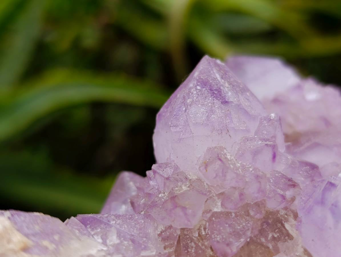 Natural Spirit Quartz Amethyst Clusters x 6 From Boekenhouthoek, South Africa - Toprock Gemstones and Minerals 
