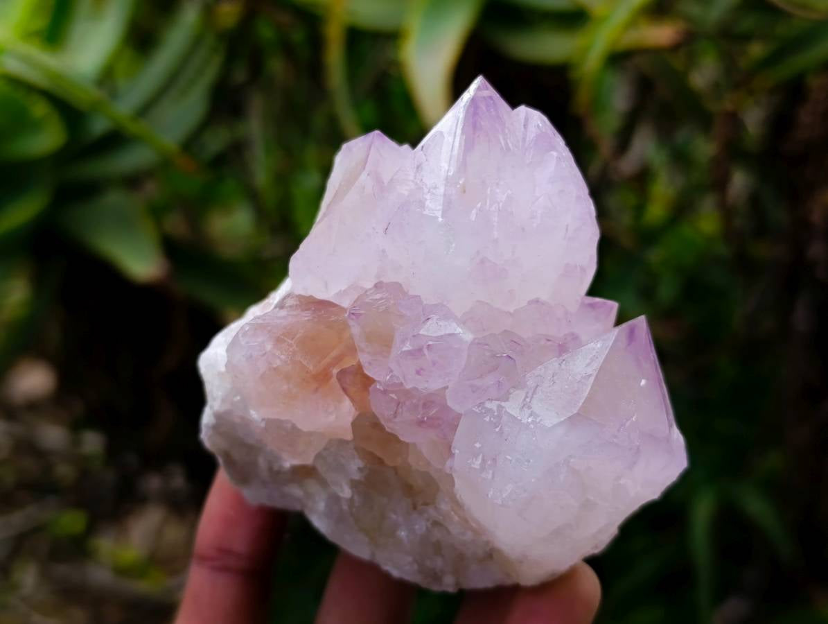 Natural Spirit Quartz Amethyst Clusters x 6 From Boekenhouthoek, South Africa - Toprock Gemstones and Minerals 
