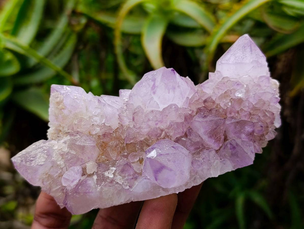 Natural Spirit Quartz Amethyst Clusters x 6 From Boekenhouthoek, South Africa - Toprock Gemstones and Minerals 