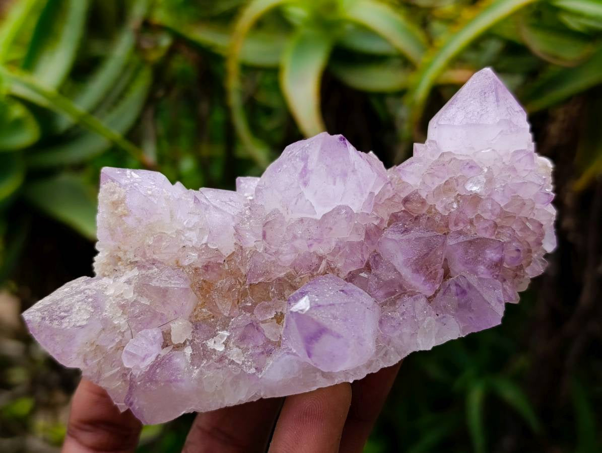 Natural Spirit Quartz Amethyst Clusters x 6 From Boekenhouthoek, South Africa - Toprock Gemstones and Minerals 