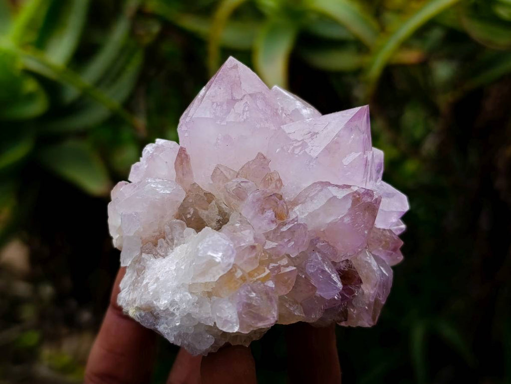 Natural Spirit Quartz Amethyst Clusters x 6 From Boekenhouthoek, South Africa - Toprock Gemstones and Minerals 