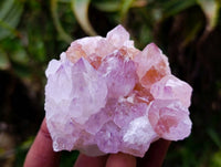Natural Spirit Quartz Amethyst Clusters x 6 From Boekenhouthoek, South Africa