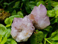 Natural Spirit Quartz Amethyst Clusters x 6 From Boekenhouthoek, South Africa