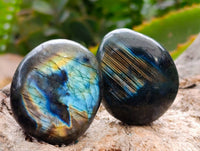 Polished Labradorite Galets x 20 From Tulear, Madagascar