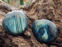 Polished Labradorite Galets x 20 From Tulear, Madagascar