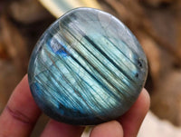 Polished Labradorite Galets x 20 From Tulear, Madagascar