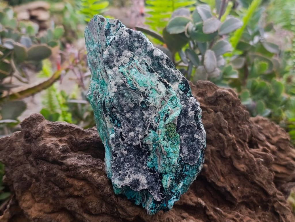 Natural Drusy Coated Chrysocolla With Malachite Specimens x 3 From Lupoto Mine, Congo - Toprock Gemstones and Minerals 