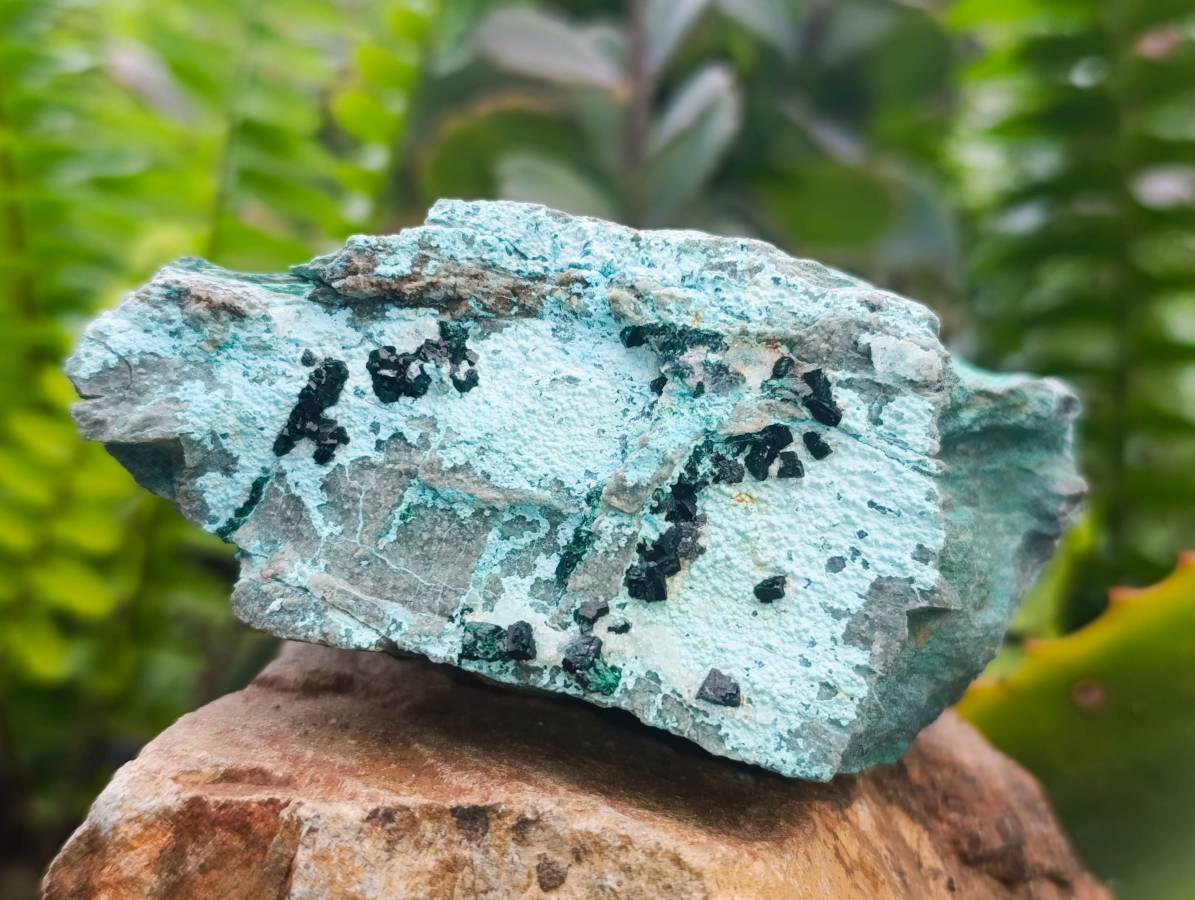 Natural Drusy Coated Chrysocolla With Malachite Specimens x 3 From Lupoto Mine, Congo - Toprock Gemstones and Minerals 