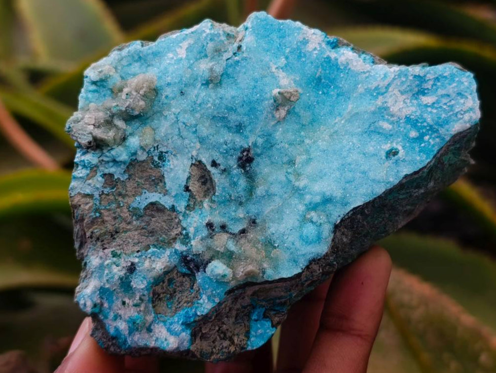 Natural Drusy Coated Chrysocolla With Malachite Specimens x 3 From Lupoto Mine, Congo - Toprock Gemstones and Minerals 