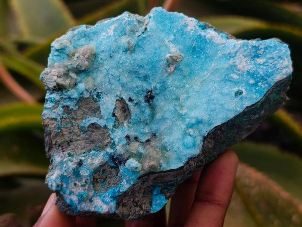 Natural Drusy Coated Chrysocolla With Malachite Specimens x 3 From Lupoto Mine, Congo