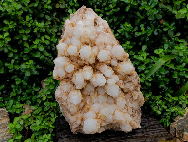 Natural XXL White Phantom, Pineapple Candle Quartz Cluster x 1 From Antsirabe, Madagascar