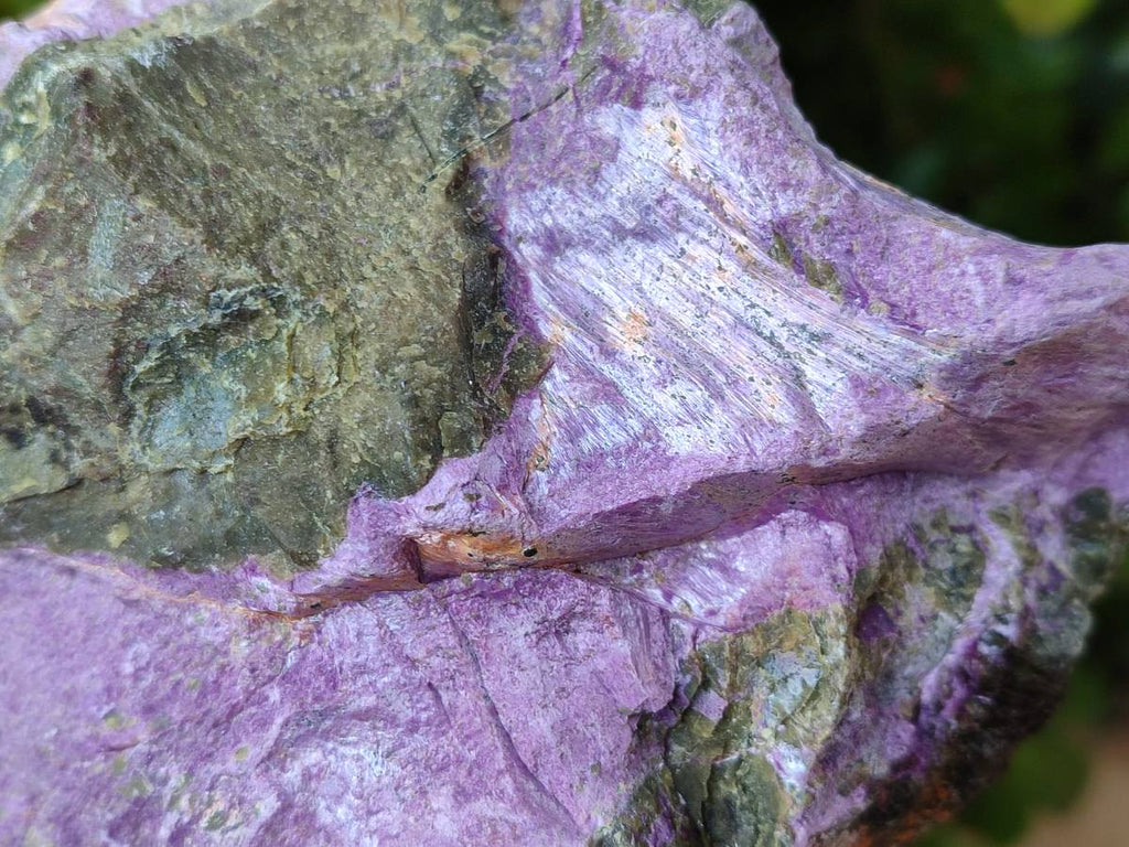 Natural Stichtite Cobbed Specimens x 2 From Barberton, South Africa - Toprock Gemstones and Minerals 