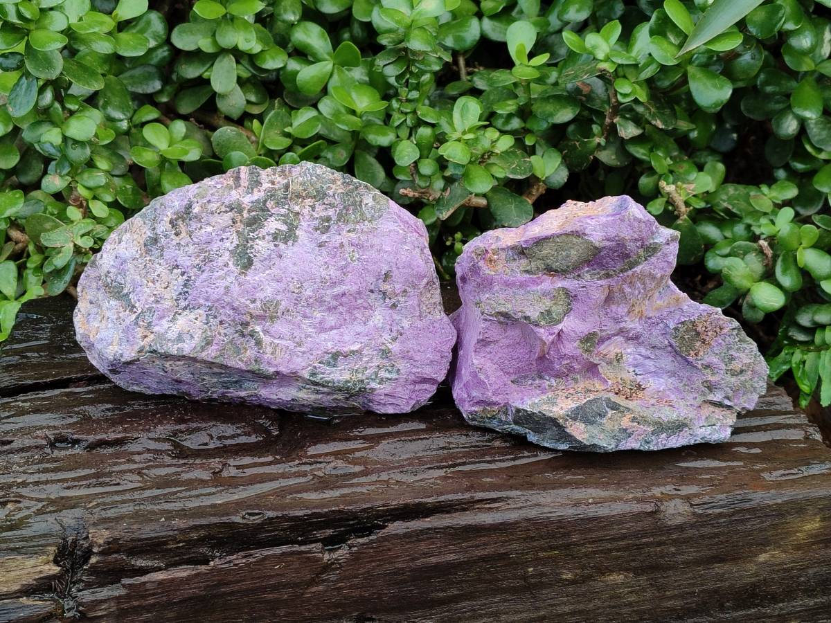 Natural Stichtite Cobbed Specimens x 2 From Barberton, South Africa - Toprock Gemstones and Minerals 