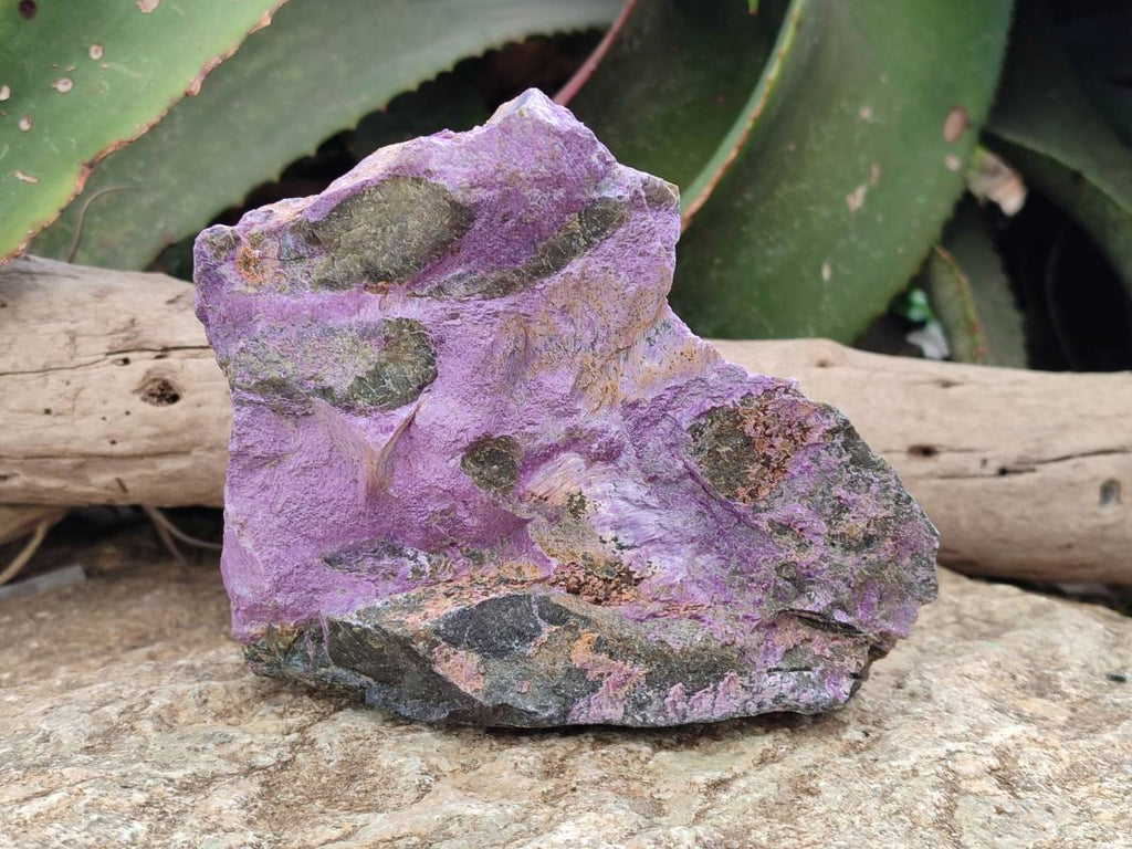 Natural Stichtite Cobbed Specimens x 2 From Barberton, South Africa - Toprock Gemstones and Minerals 