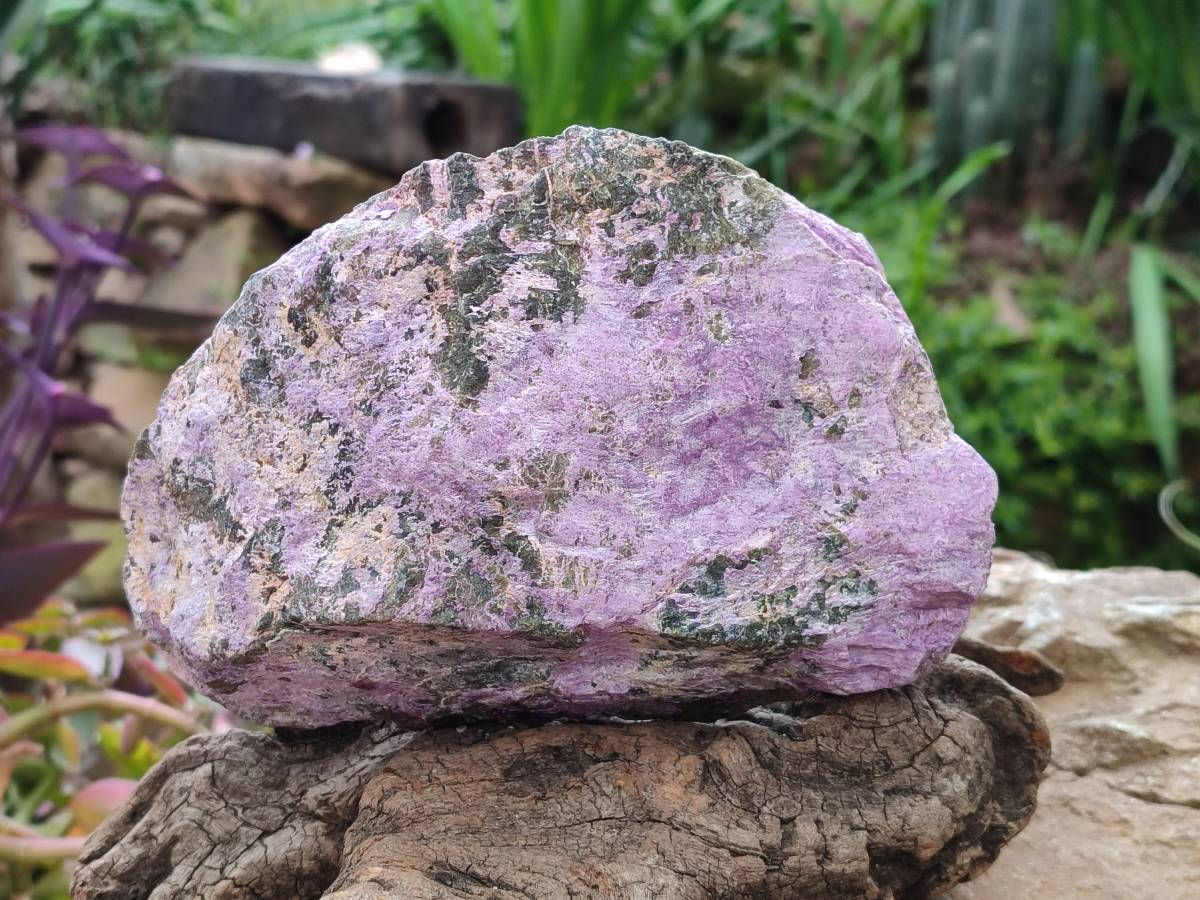 Natural Stichtite Cobbed Specimens x 2 From Barberton, South Africa - Toprock Gemstones and Minerals 