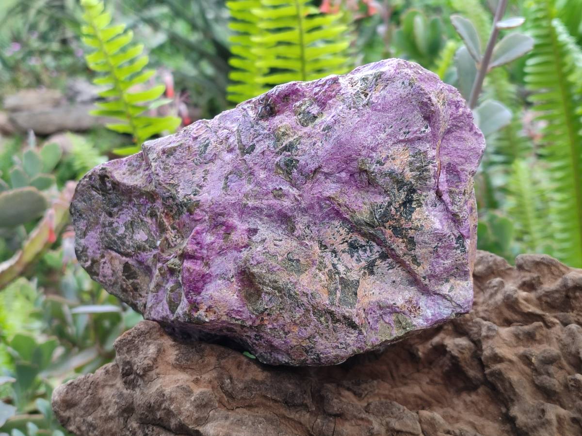Natural Stichtite Cobbed Specimens x 2 From Barberton, South Africa - Toprock Gemstones and Minerals 