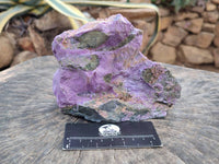 Natural Stichtite Cobbed Specimens x 2 From Barberton, South Africa