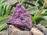 Natural Salrose Cobaltion Dolomite One With Malachite Specimens x 6 From Kakanda, Congo