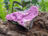 Natural Salrose Cobaltion Dolomite One With Malachite Specimens x 6 From Kakanda, Congo