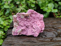 Natural Salrose Cobaltion Dolomite One With Malachite Specimens x 6 From Kakanda, Congo