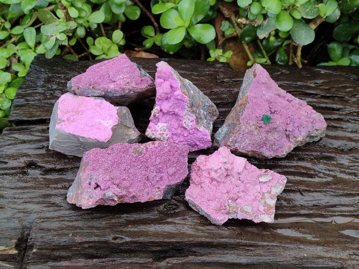 Natural Salrose Cobaltion Dolomite One With Malachite Specimens x 6 From Kakanda, Congo - Toprock Gemstones and Minerals 