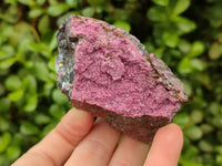 Natural Salrose Cobaltion Dolomite One With Malachite Specimens x 6 From Kakanda, Congo