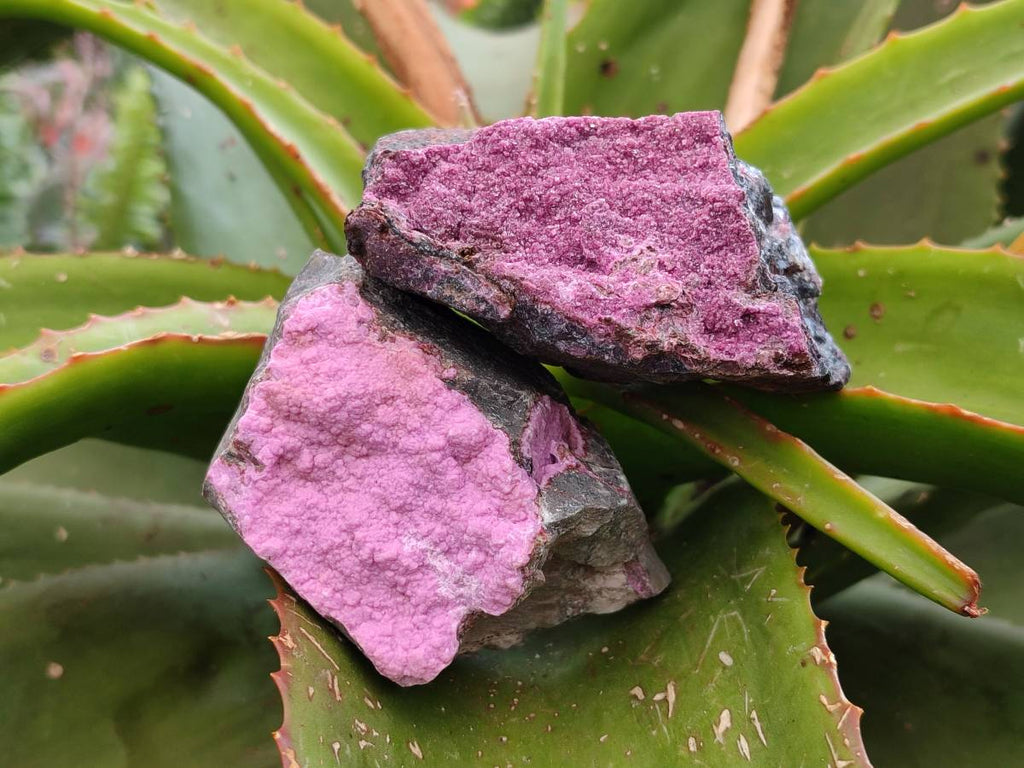 Natural Salrose Cobaltion Dolomite One With Malachite Specimens x 6 From Kakanda, Congo - Toprock Gemstones and Minerals 