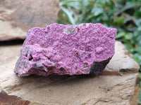 Natural Salrose Cobaltion Dolomite One With Malachite Specimens x 6 From Kakanda, Congo