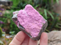 Natural Salrose Cobaltion Dolomite One With Malachite Specimens x 6 From Kakanda, Congo