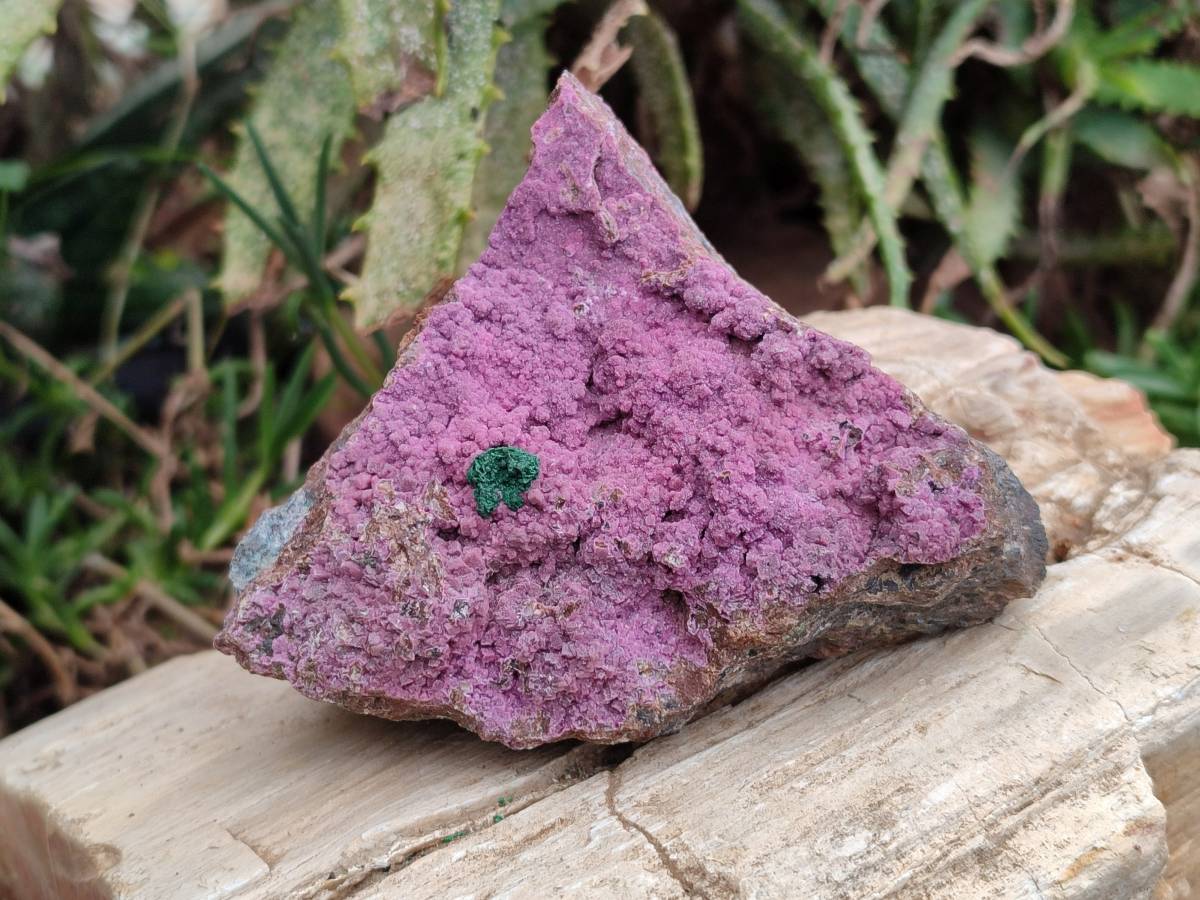 Natural Salrose Cobaltion Dolomite One With Malachite Specimens x 6 From Kakanda, Congo - Toprock Gemstones and Minerals 