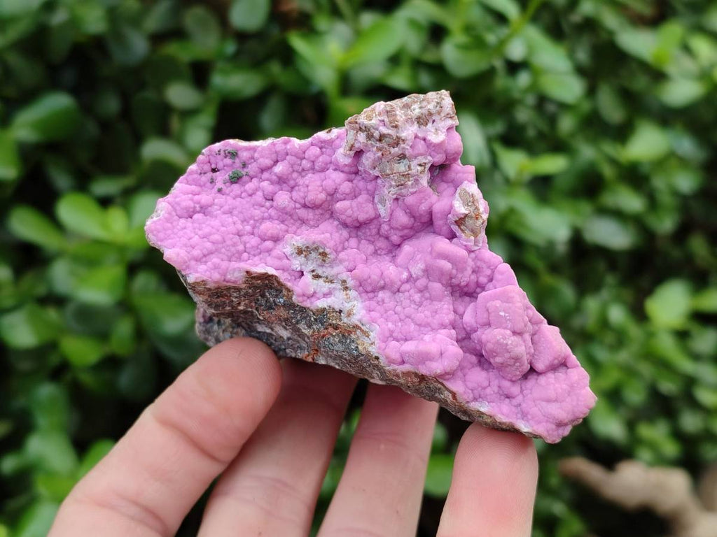 Natural Salrose Cobaltion Dolomite One With Malachite Specimens x 6 From Kakanda, Congo - Toprock Gemstones and Minerals 