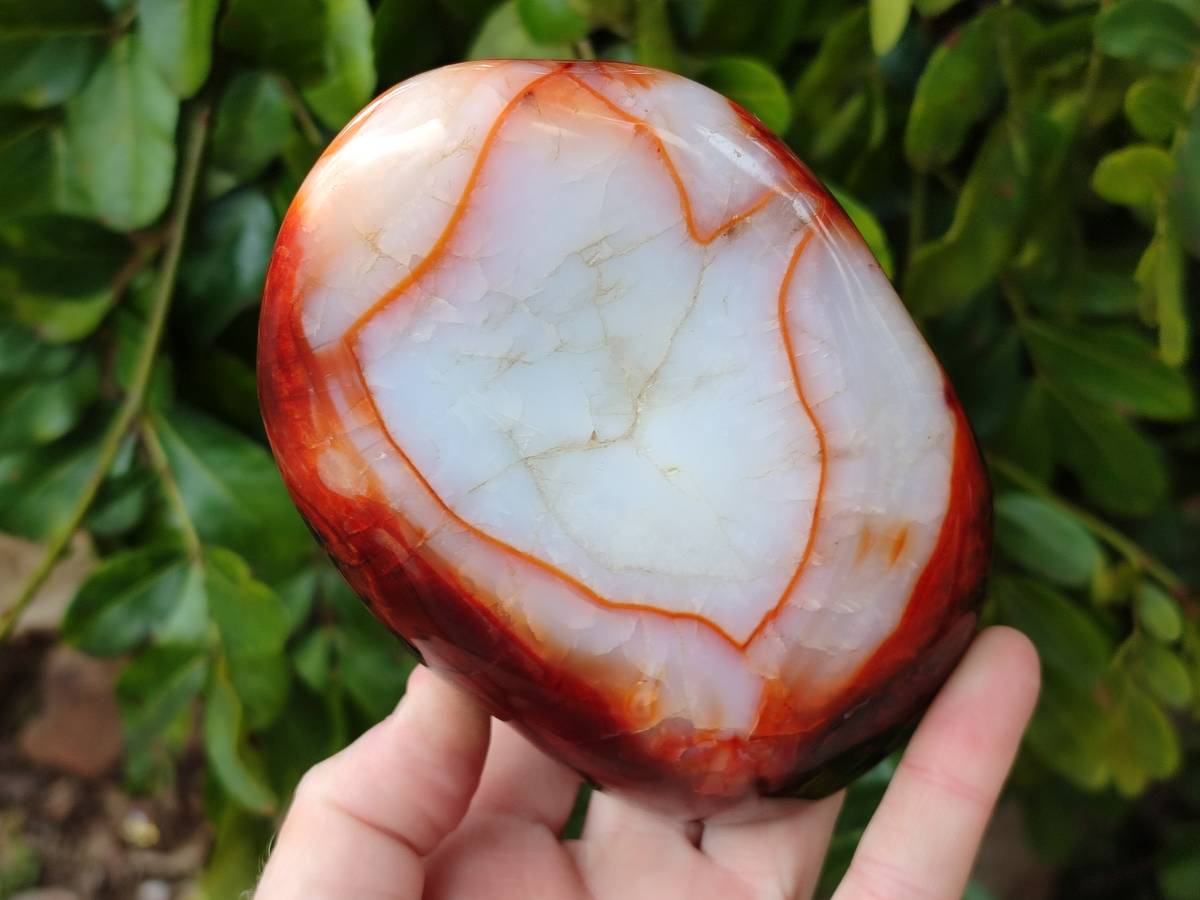 Polished Carnelian Agate Gemstone Standing Free Forms x 3 From Madagascar - Toprock Gemstones and Minerals 