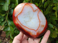 Polished Carnelian Agate Gemstone Standing Free Forms x 3 From Madagascar