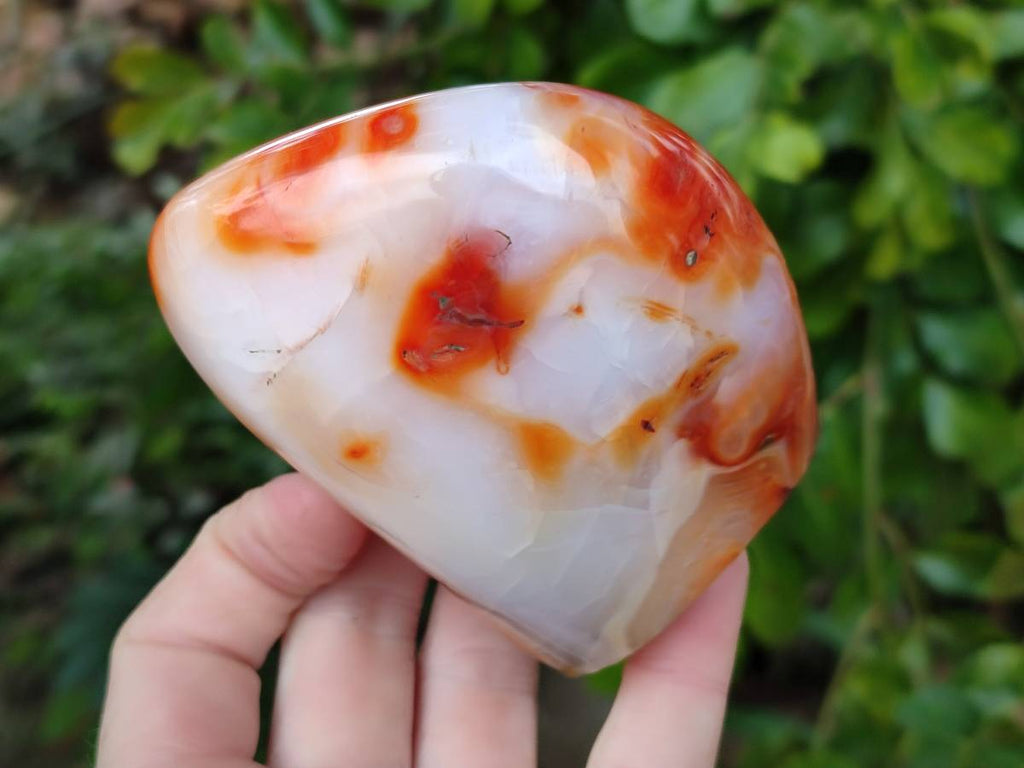 Polished Carnelian Agate Gemstone Standing Free Forms x 3 From Madagascar - Toprock Gemstones and Minerals 
