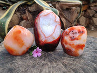 Polished Carnelian Agate Gemstone Standing Free Forms x 3 From Madagascar