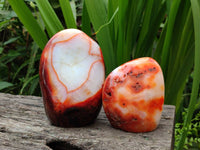Polished Carnelian Agate Gemstone Standing Free Forms x 3 From Madagascar