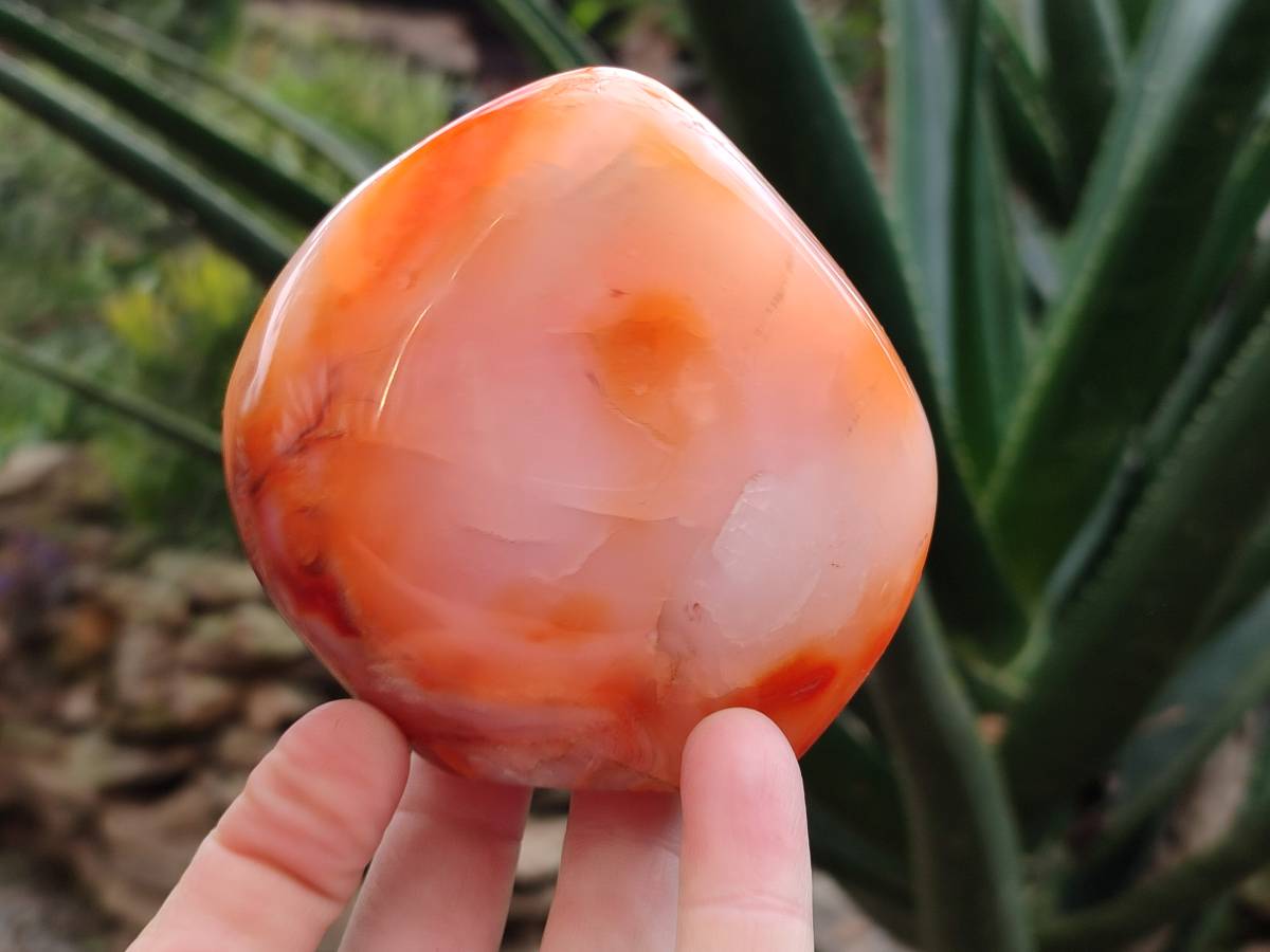 Polished Carnelian Agate Gemstone Standing Free Forms x 3 From Madagascar - Toprock Gemstones and Minerals 