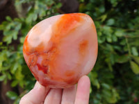 Polished Carnelian Agate Gemstone Standing Free Forms x 3 From Madagascar