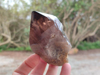 Natural Smokey Quartz Crystals x 16 From Zomba, Malawi