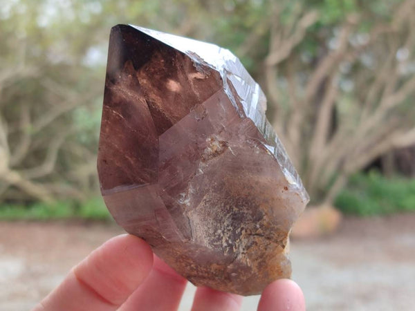 Natural Smokey Quartz Crystals x 16 From Zomba, Malawi