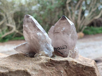 Natural Smokey Quartz Crystals x 16 From Zomba, Malawi