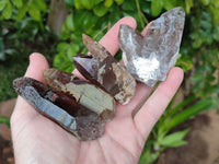 Natural Smokey Quartz Crystals x 16 From Zomba, Malawi