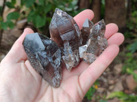 Natural Smokey Quartz Crystals x 16 From Zomba, Malawi