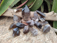 Natural Smokey Quartz Crystals x 16 From Zomba, Malawi