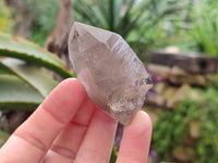 Natural Smokey Quartz Crystals x 16 From Zomba, Malawi