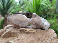 Natural Smokey Quartz Crystals x 16 From Zomba, Malawi