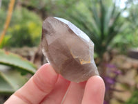 Natural Smokey Quartz Crystals x 16 From Zomba, Malawi